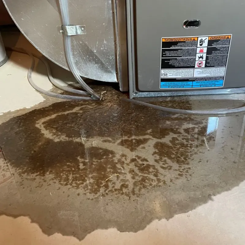 Pipe Burst and Leak Restoration in Kingfisher, OK